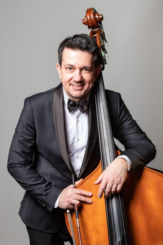Radu petrovici color