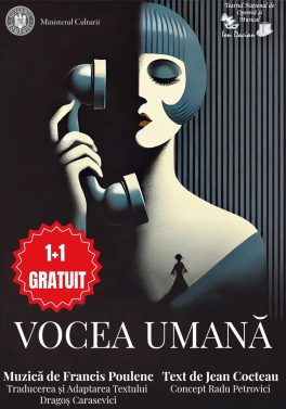 vocea-reducere