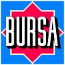 bursa bursa