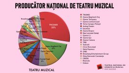 grafic 1