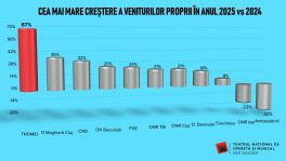 grafic 2